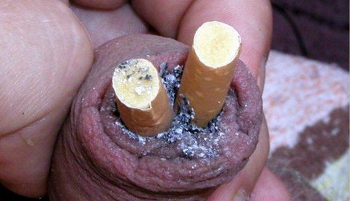 cock-ashtray-penis-torture-with-cigarettes-and-more-33-502x288