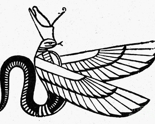 symbol-winged-serpent-granger