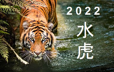 Water-Tiger-2022B