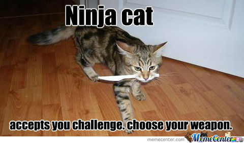 ninja-cat_o_465125