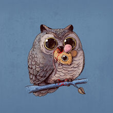 Owl_mouse_800