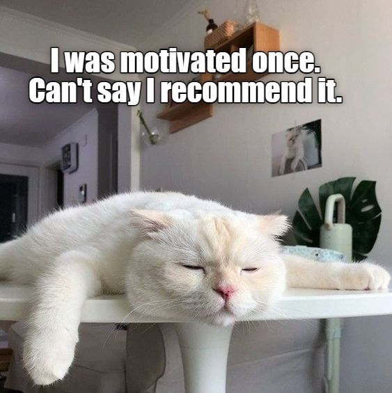 cat-motivation-speech
