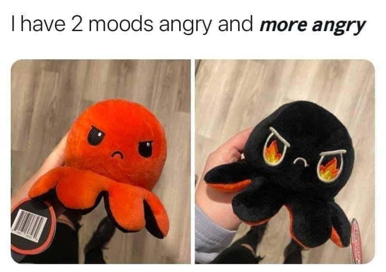 people-two-moods
