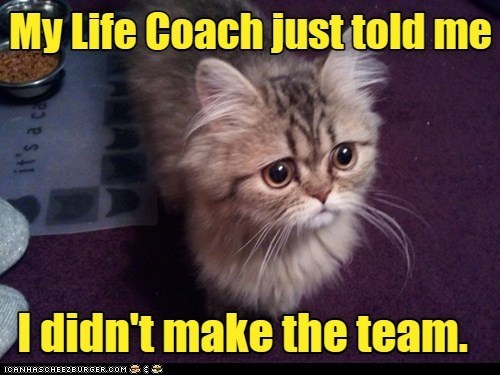 cat-life-coach