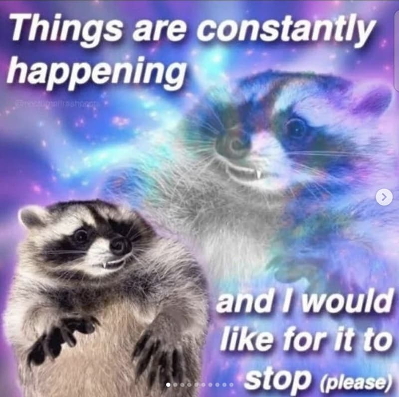 raccoon-things-are-constantly-happening-and-would-like-stop-please