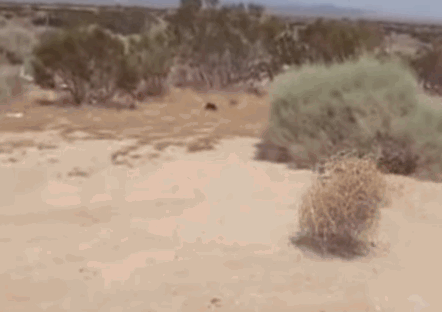 dfb76c7edeb66233cf837436fffb3d2b33f8e7be