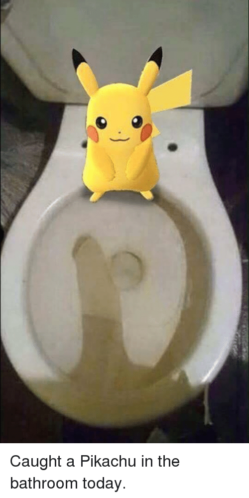 caught-a-pikachu-in-the-bathroom-today-3068883.png.