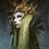 DaughterOfElves