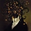 Dominic_Cooke