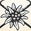 Edelweiss Edelweiss