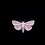 ghost_moth