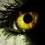 harbinger