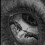 JohnTitor