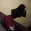 Putrid_doll