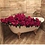 Rosewater38